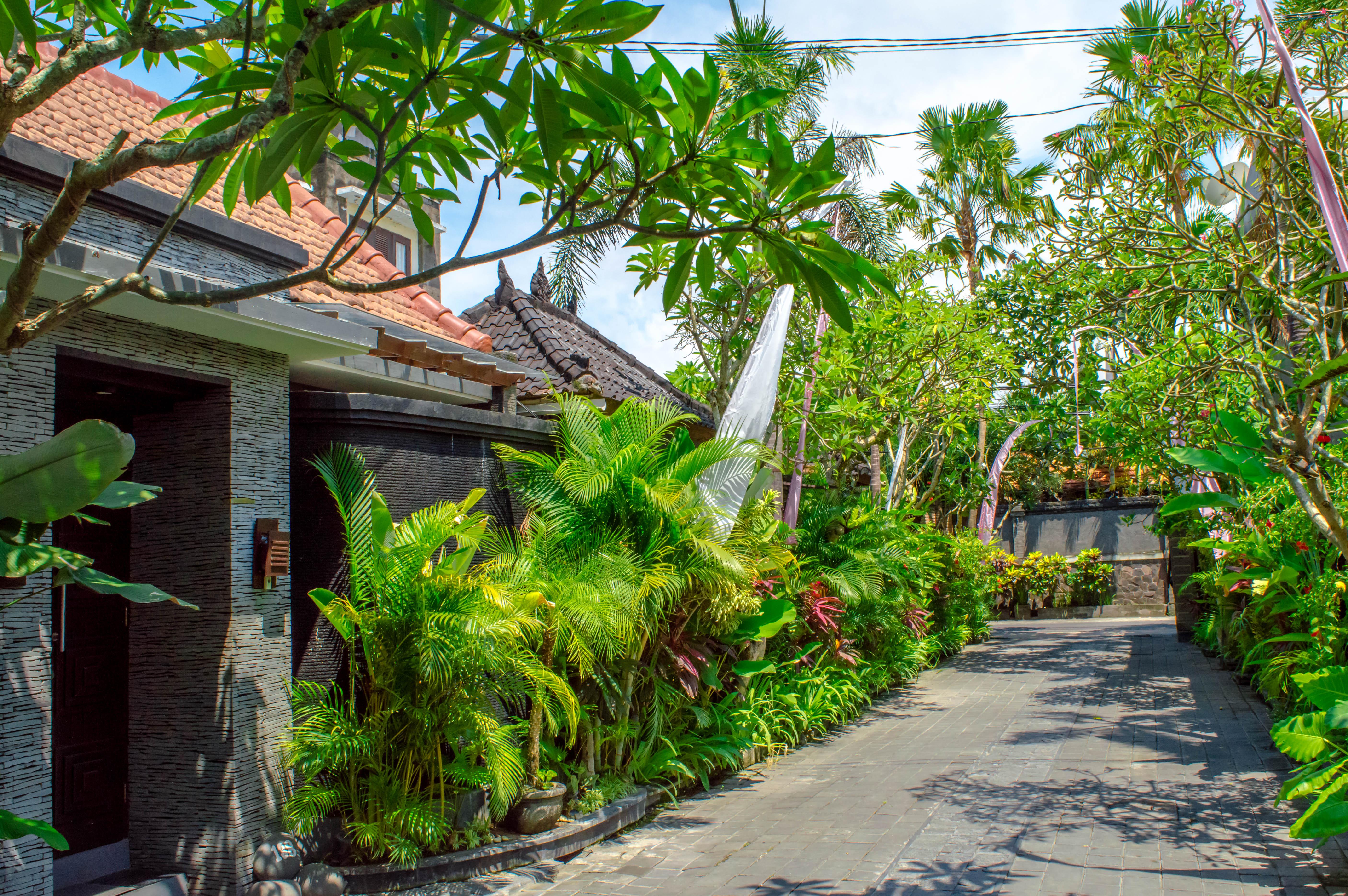The Bali Dream Villa Seminyak Экстерьер фото